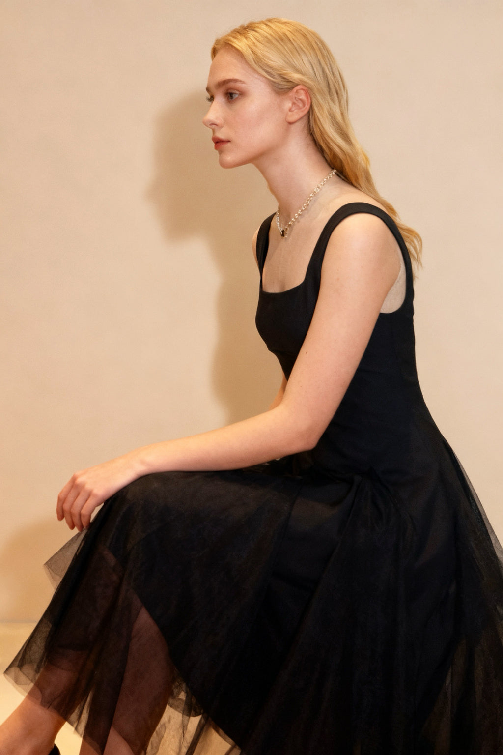 Q25 Fit & Flare Mesh Dress